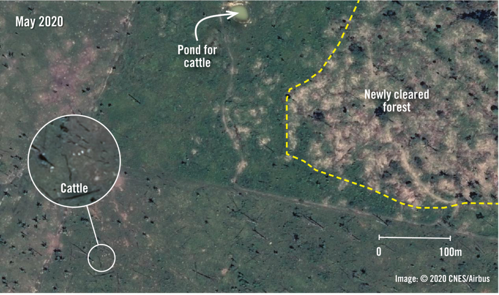 محمية ريو-جيسي-بارانا، 2020. صورة الأقمار الصناعية وخريطة تبينان أدلة مرئية لمدى نطاق إزالة الغابات في المناطق المحمية في غابات الأمازون المطيرة في ولاية روندونيا البرازيلية بين 2019 و2020. الصورة: © 2020 CNES, Airbus