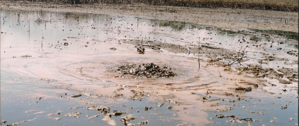 Bodo oil spill in the Niger Delta. © Media for Justice Project, Centre for Environment, Human Rights and Development (CEHRD)