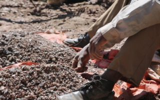 The Dark Side of Electric Cars: Exploitative Labor Practices