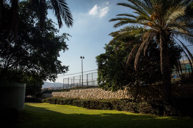 Lush vegetation in the Israeli settlement of Ma'ale Adumim. With a population of 37,670, the settlement is one of the largest in the Occupied Palestinian Territories. © Amnesty International