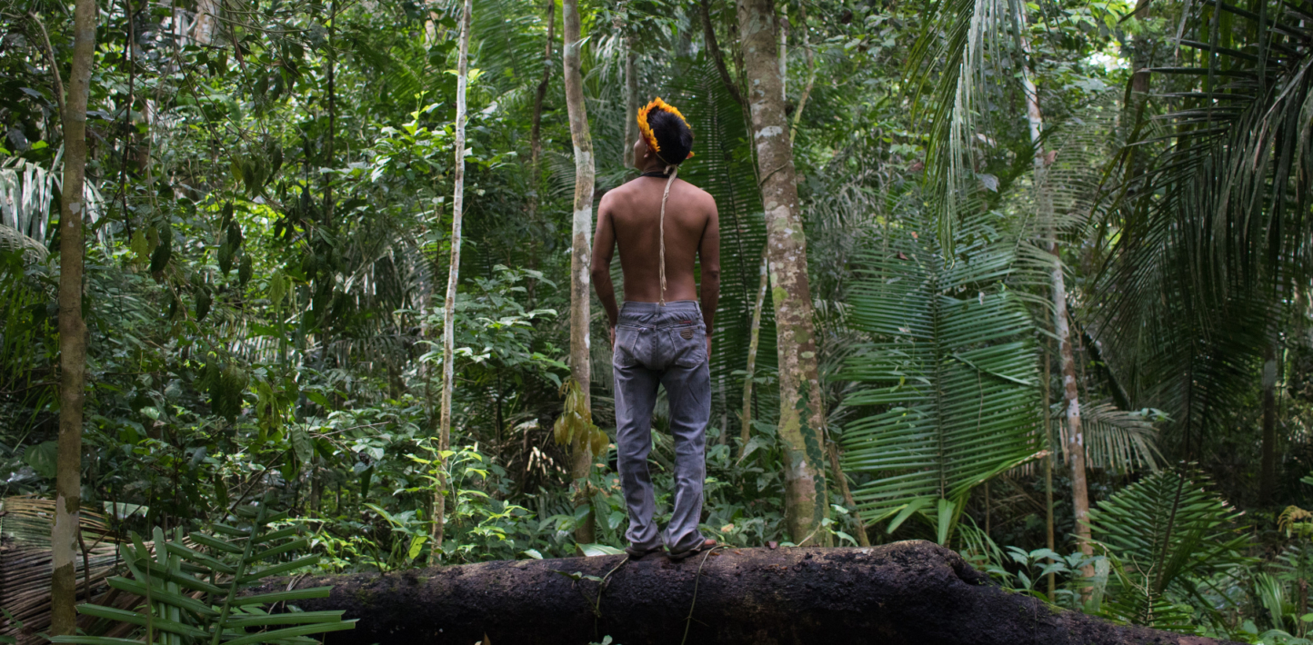 A March 2019 Crisis mission looked into illegal land seizures and logging in what should be protected Indigenous territories in the Brazilian Amazon.