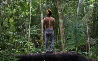 Brazil: Risk of bloodshed in the Amazon unless government protects Indigenous peoples from illegal land seizures and logging
