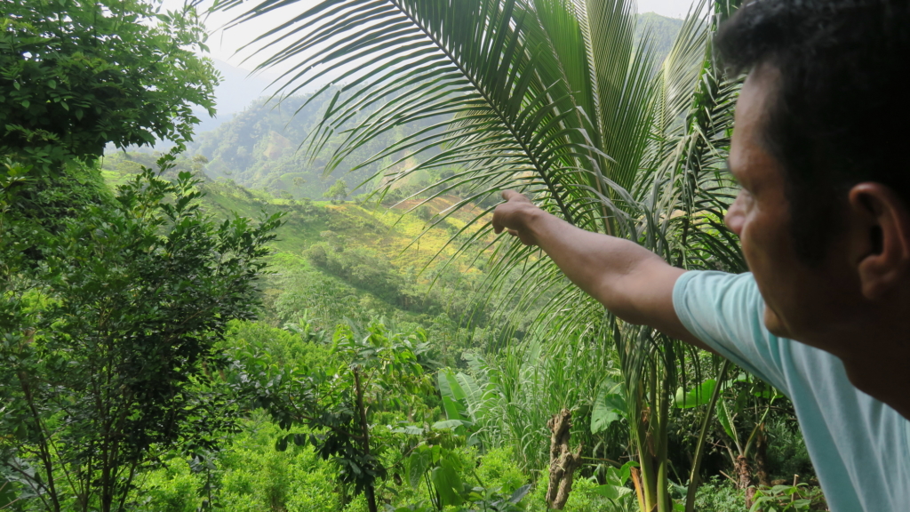 A farmer points to the scene of a shootout between the army and guerrillas beside his coca plantation (Amnesty International press office/Amnesty International).