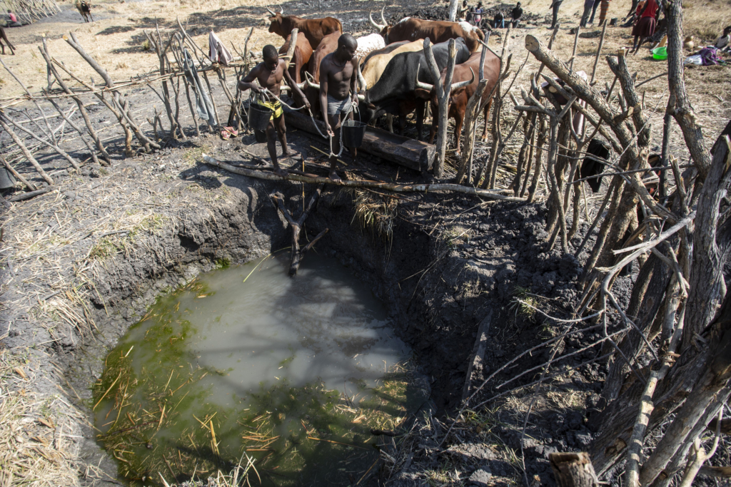 Pastoralists at a cattle water source, which is now source for both pastoralists and animals in the Gambos. © Amnesty International