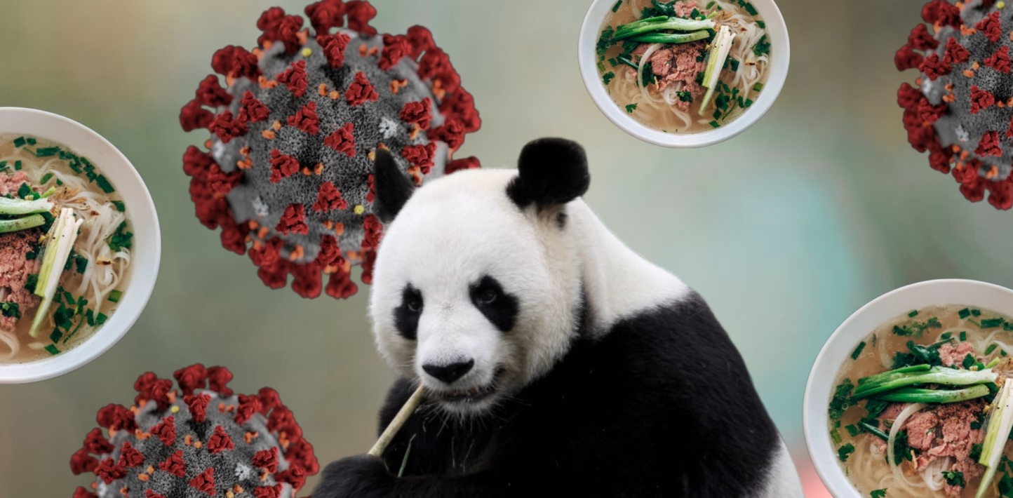 An infographic with noodles, pandas and coronavirus