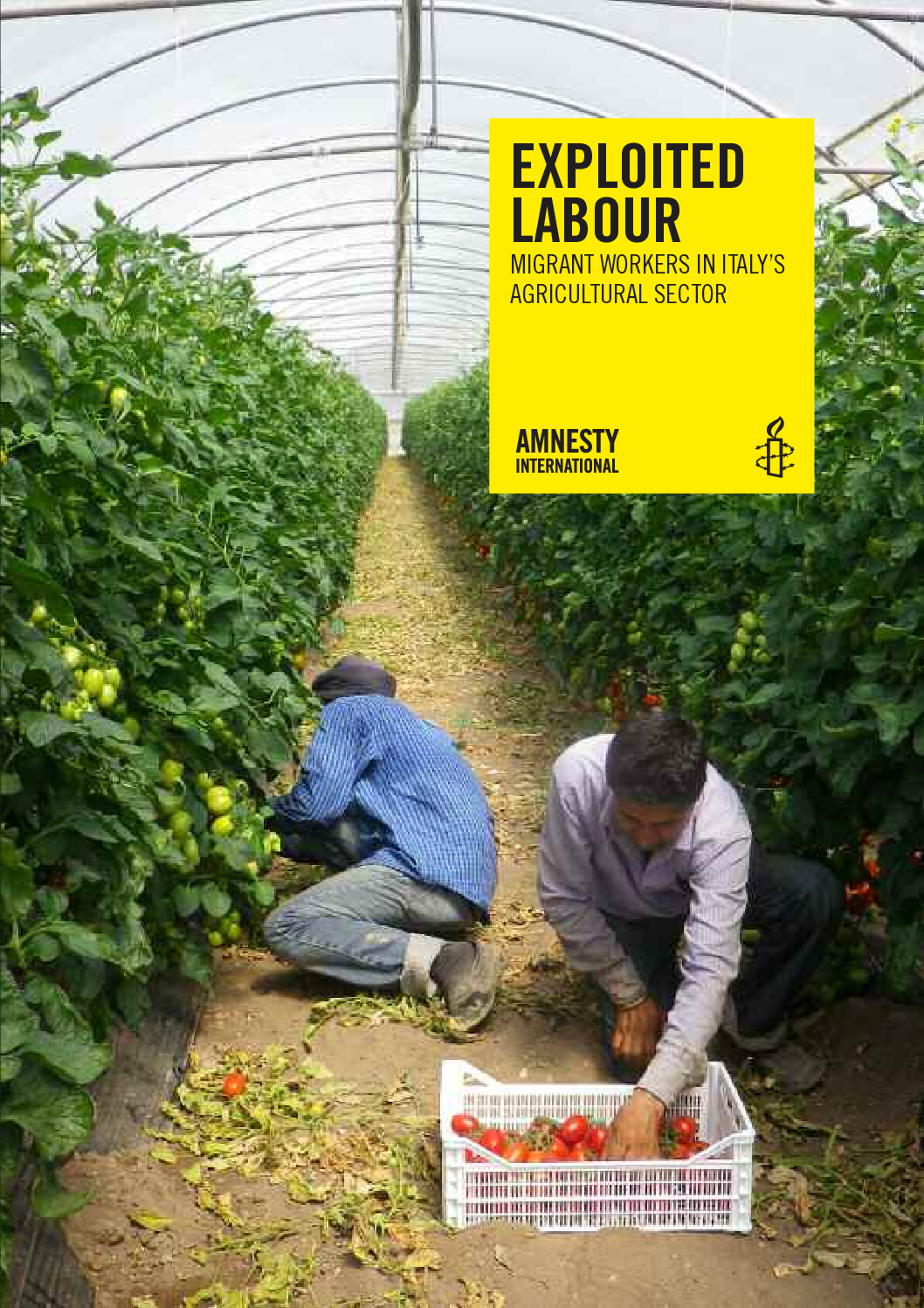 Italy: Exploited labour: Migrant workers in Italy's agricultural