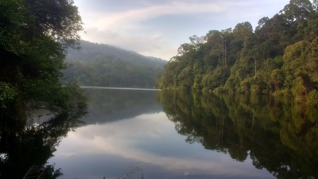 Ledang Johor - Flooded forest reservoir