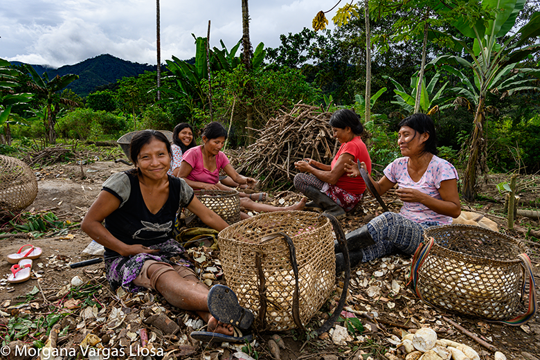 Women harvesting yuca in La Curva. Photo: Morgana Vargas Llosa, 2019