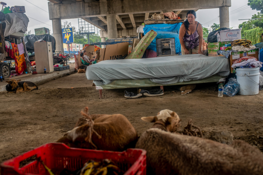 A woman makes her bed beneath the bridge where she’s living with others who lost their homes to the hurricanes. Photo: Encarni Pindado
