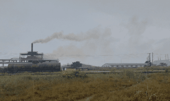 Amnesty International and SALC intervene on landmark multinational mining case at South Africa’s Supreme Court of Appeal