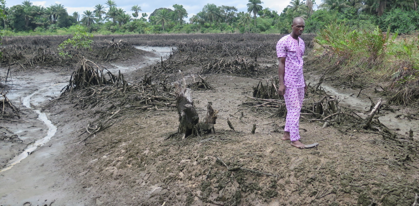 Oil polluted creek in the Niger Delta
