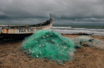 The human cost of overfishing in Gambia