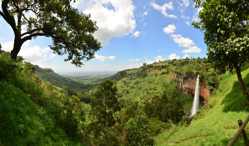 a lush green forest landscape. A large waterfall flows off cliffs