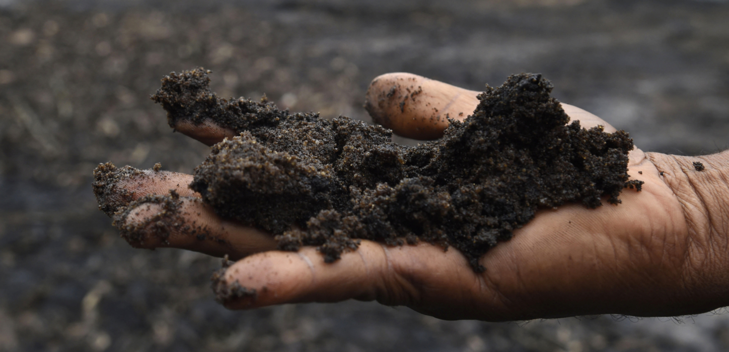 Soil from a creek in the Niger Delta contaminated by an oil spill held in a farmer's hand