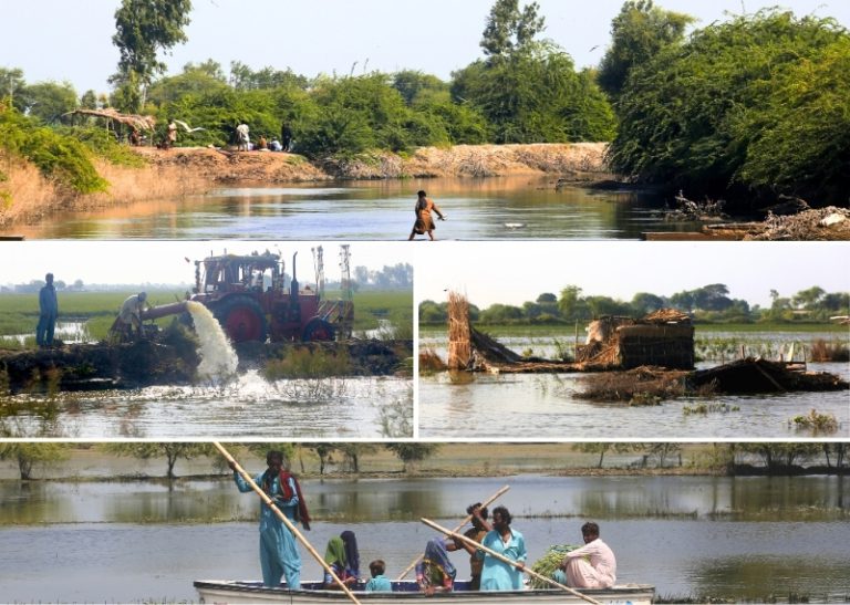 Food Insecurity In Pakistan Pakistan: Flood survivors in Sindh province suffer disease and food ...