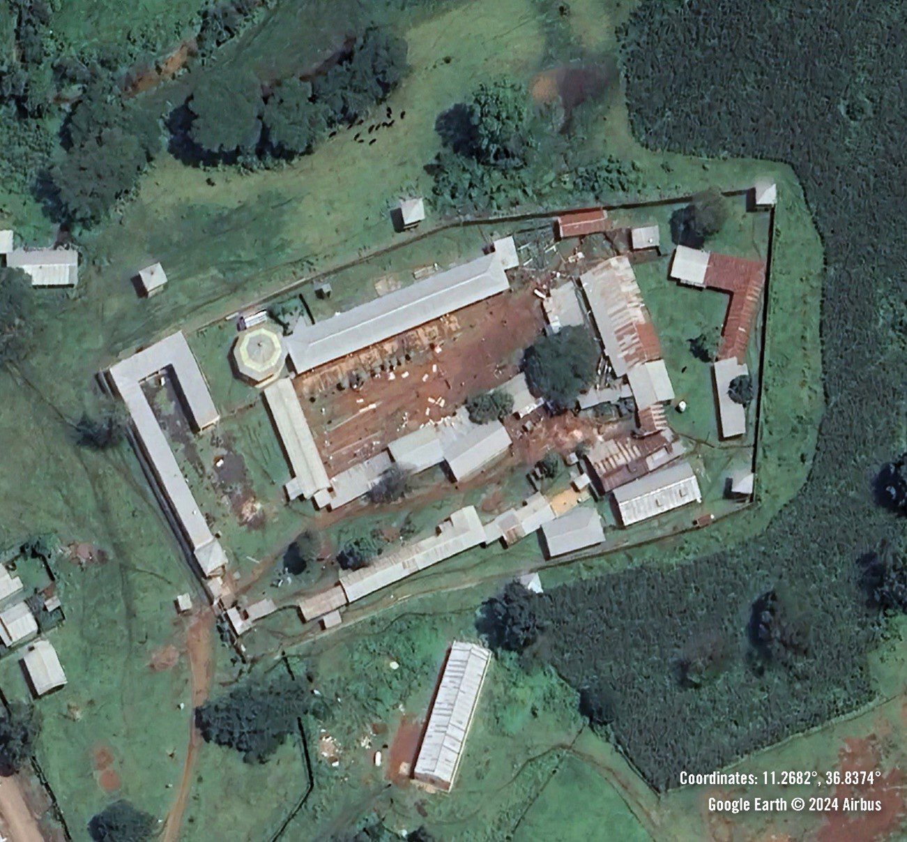 Ethiopia: End the month-long arbitrary detention of thousands in Amhara Region