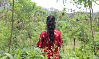 Sri Lanka: Malaiyaha Tamil workers in private tea estates suffer serious labour abuses – new report