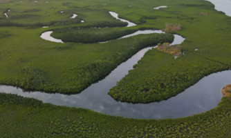 Convention on Biological Diversity. What you need to know and why it matters