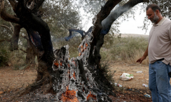 States must act as Israeli state-driven settler violence escalates at the start of Palestinian olive harvest 