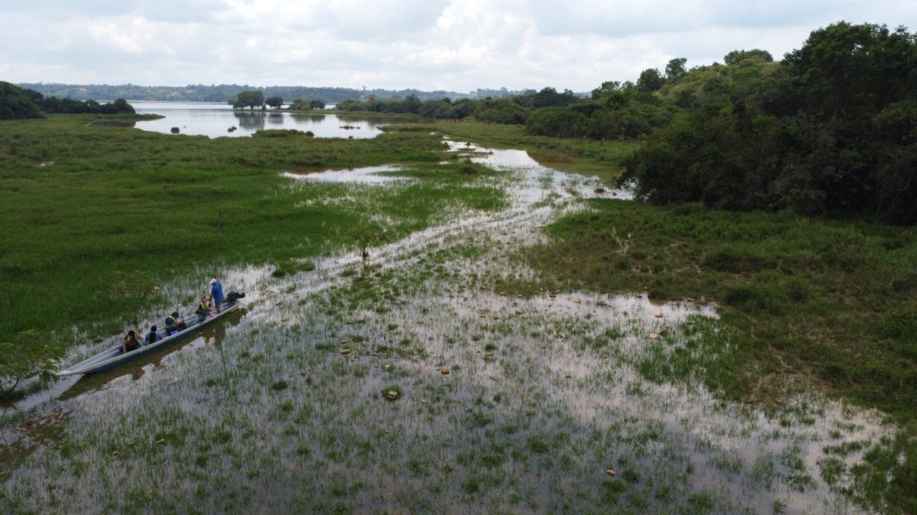 A canoe glides through the Colombian wetlands