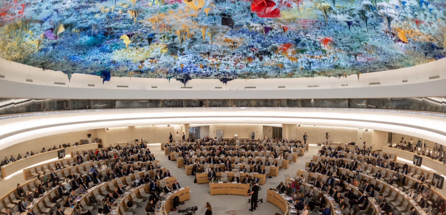 Consejo de Derechos Humanos de la ONU.