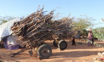 Conoce a las familias somalíes obligadas a refugiarse en los campos de refugiados de Dadaab debido a la sequía y las inundaciones
