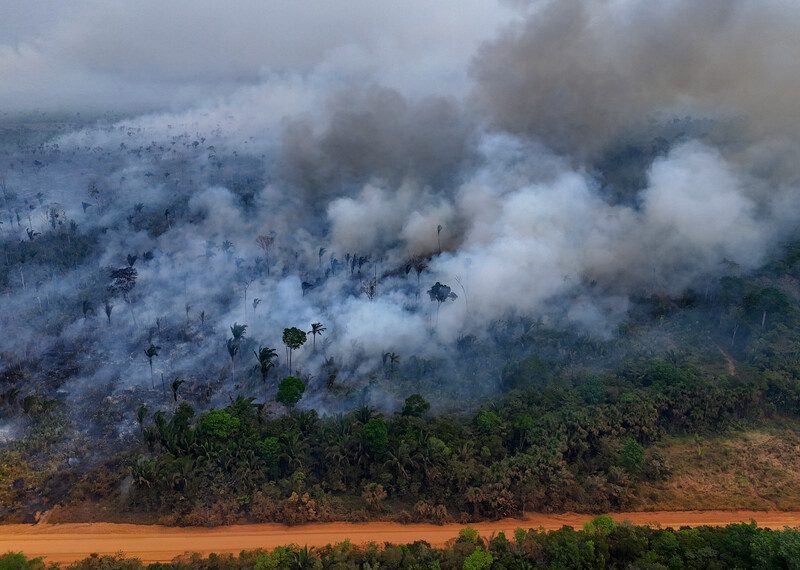 Large smoke clouds billowing out of a forest.