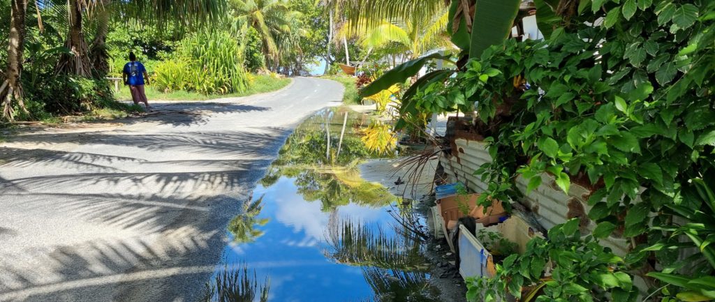 Una carretera rodeada de exuberante vegetación aparece parcialmente inundada.