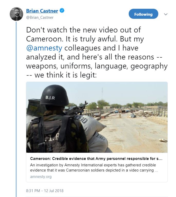 En un plazo de 48 horas desde que el vídeo se hizo viral, Amnistía Internacional recopiló pruebas para rebatir la afirmación del gobierno de Camerún de que eran 