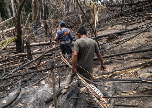 Una patrulla indígena descubre terrenos recién quemados y un cobertizo construido por invasores —probablemente grileiros, que queman y deforestan tierras para apropiarse ilegalmente de ellas— en territorio de los indígenas uru-eu-wau-wau, en el estado de Rondônia, Brasil, en septiembre de 2019. © Alessandro Falco