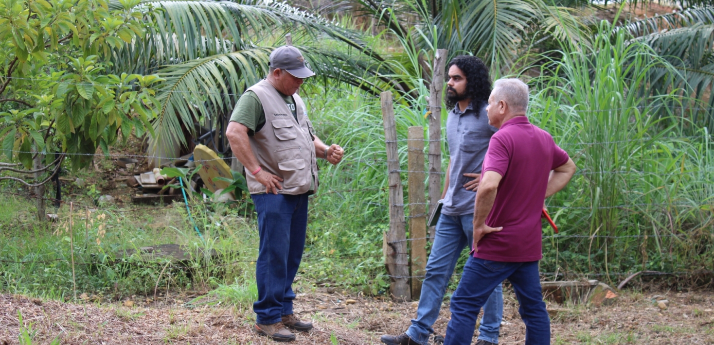 Three human rights defenders stand in conversation in the jungle in Colombia