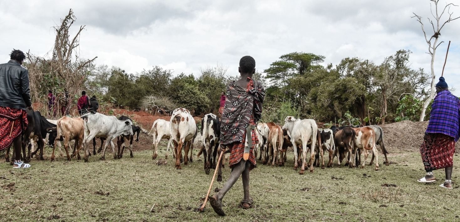 Pastores masáis en un área de conservación propuesta en Tanzania.