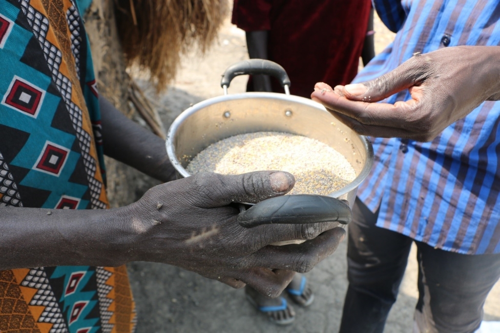 Une Sud-Soudanaise montre à Amnesty International comment elle prépare les nénuphars pour pouvoir les manger. © Amnesty International, Gondor, comté de Leer, État d’Unité, Soudan du Sud, 8 février 2016.