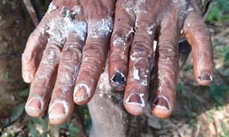 Guinée. Un nouveau rapport révèle les abus envers les droits de travailleurs de plantations liées à la Soguipah, une entreprise d’État